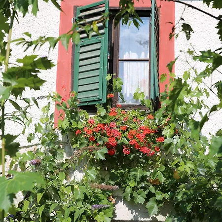 Πανσιόν Haus Wartenberg 2*