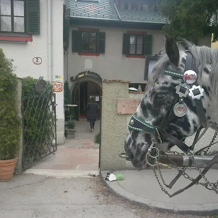 Penzion Haus Wartenberg 2*