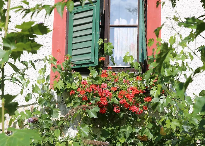 Penzion Haus Wartenberg 2*